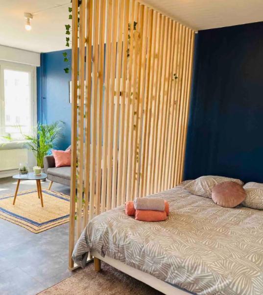 Le 610 - Cosy - Stationnement Gratuit & Wifi Apartman Saint-Etienne  Kültér fotó
